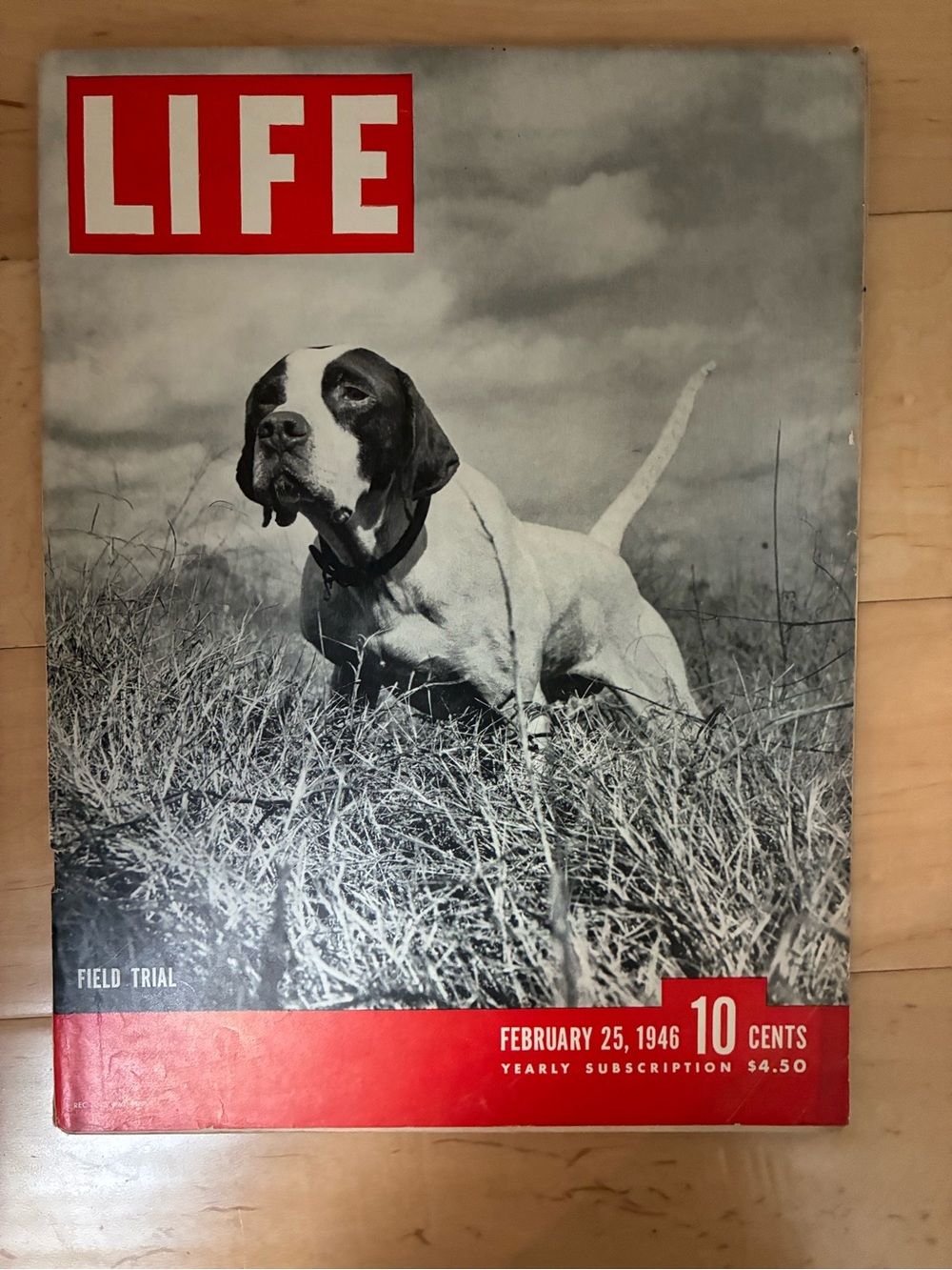 Magazine Cover Print - Black & White Dog